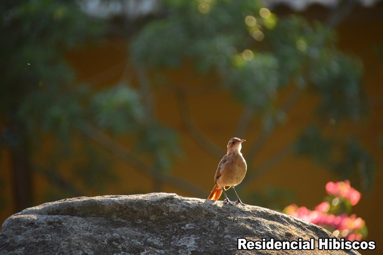 Residencial Hibiscos - Vista Mar Villa กาโรปาบา ภายนอก รูปภาพ